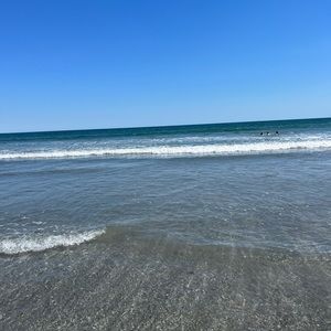 Meet your Posher, Fiona